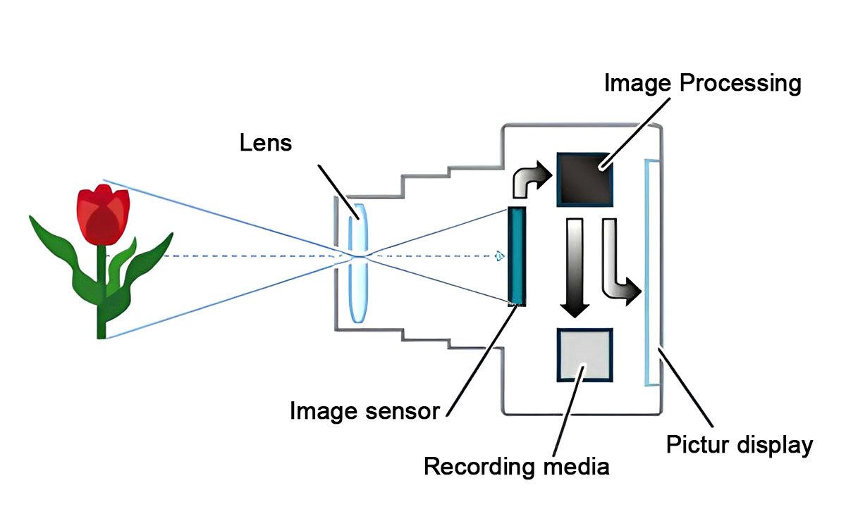 Operating principle of a digital camera