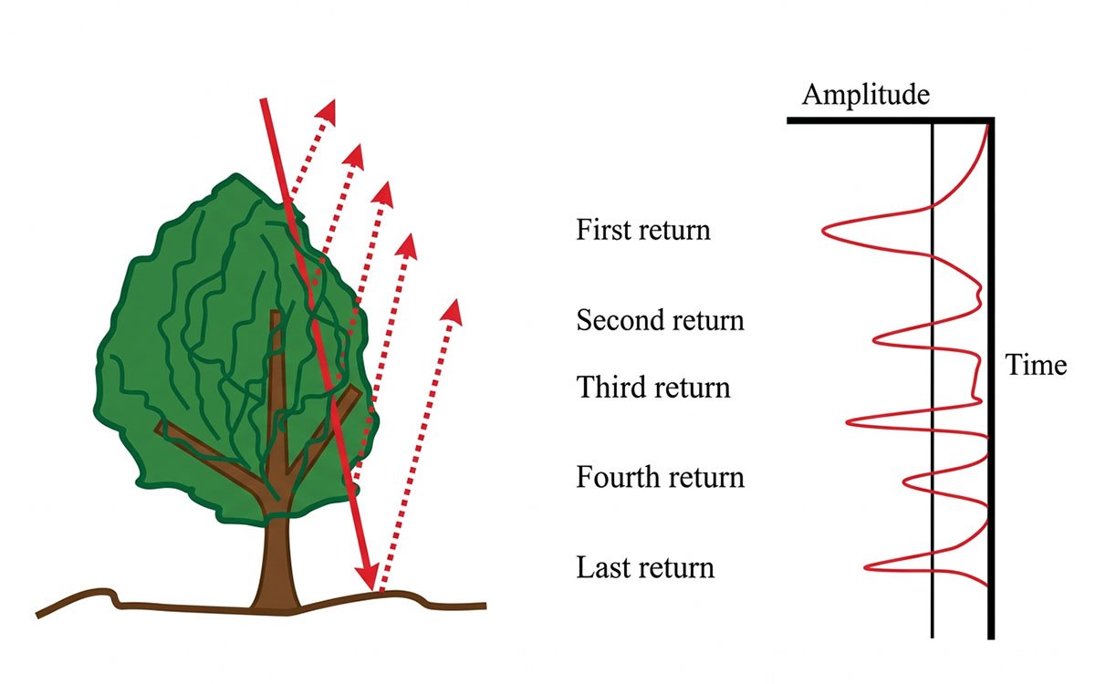 Multiple returns using a tree