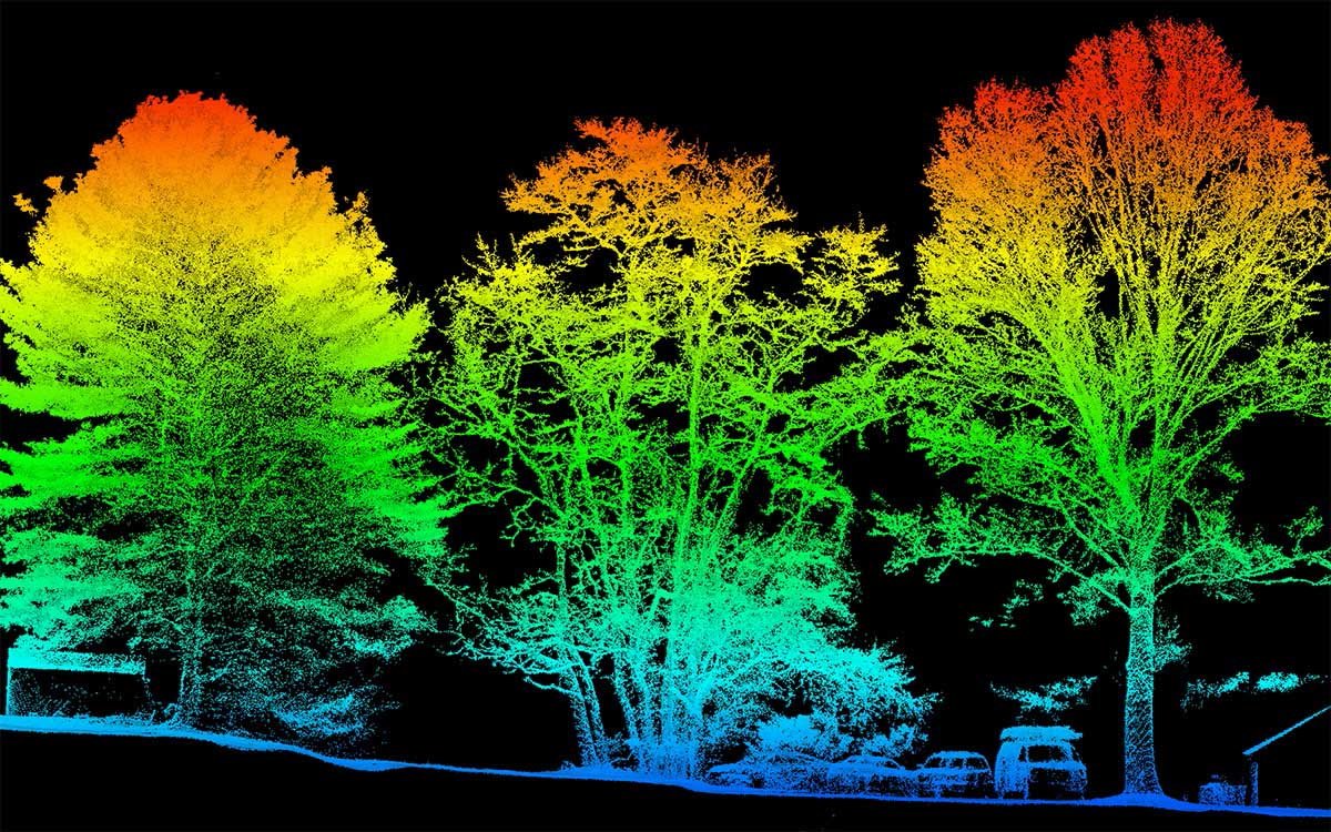 LiDAR point cloud mapping of trees and terrain with color-coded elevation data
