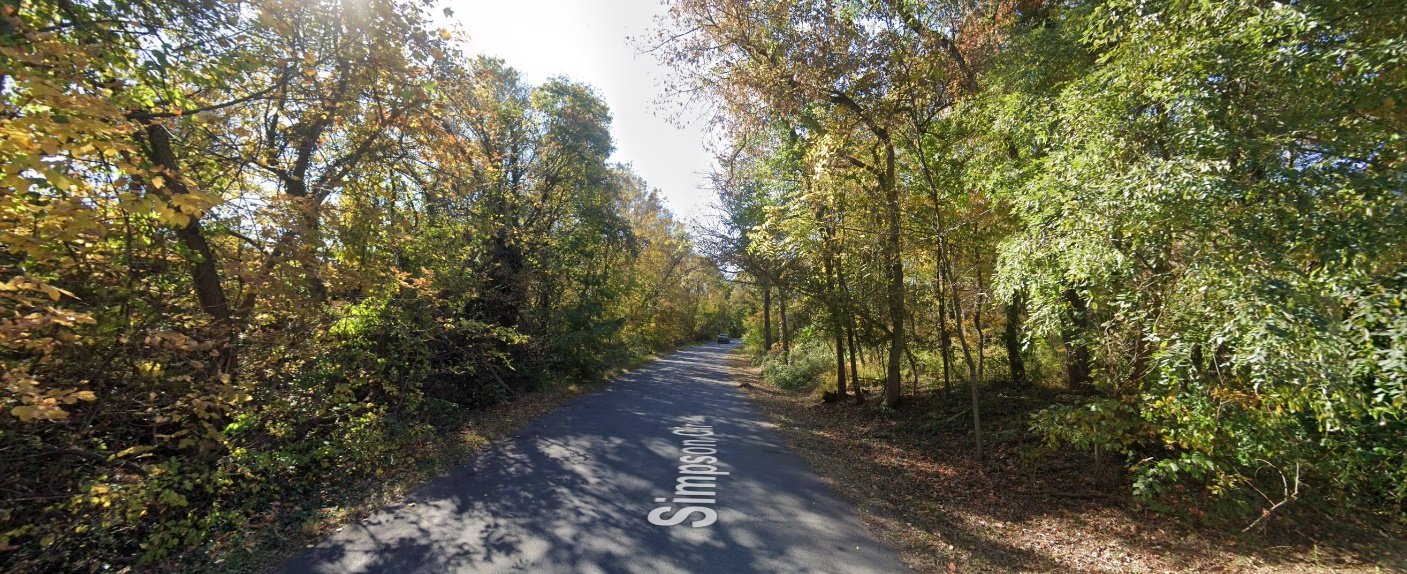 Figure 5. The tall trees with dense crowns.